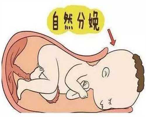 中国试管婴儿的流程 轻松拥有自己的宝宝-海外试管自助平台网