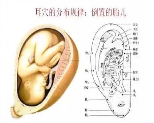 中国有代孕公司吗-广州做试管取卵_试管婴儿想要成功的注意事项