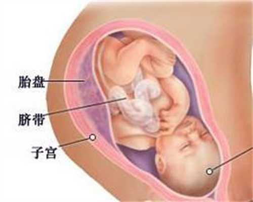 广州医院供卵-海外代孕公司_泰国试管婴儿促孕中的6大阶段!一个都不可以错