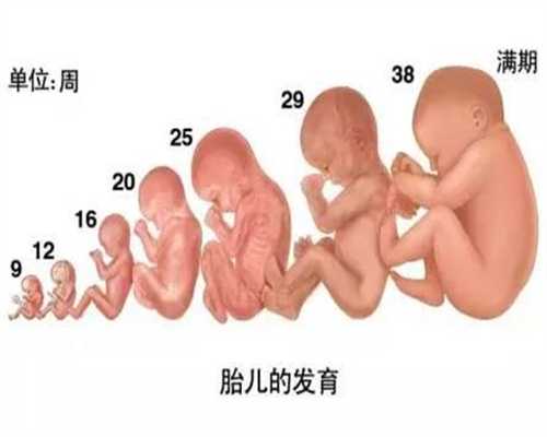 怎么能联系到想代孕的人-广州有代孕的没有_二代试管婴儿详细步骤(二代试管婴