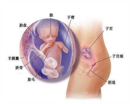 有去做代孕的人吗-广州2022代孕孩子_试管婴儿对卵泡有什么要求？