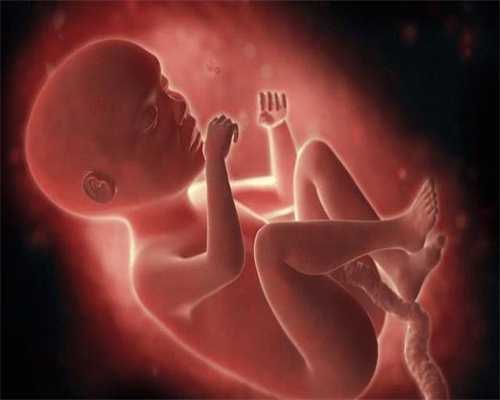 2022年代孕生子的价格-广州找靠谱代孕_试管婴儿双胞胎