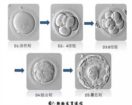 供卵有自己的基因吗-广州有人找代孕的吗_试管婴儿对女性的伤害有什么？