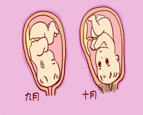广州借腹生子生殖中心选性别-代孕生子哪里有_美国试管婴儿囊胚移植率逐年上