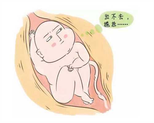 广州专业的合法代孕-一般做代孕要花多少钱_泰国试管婴儿对囊胚可移植数量有