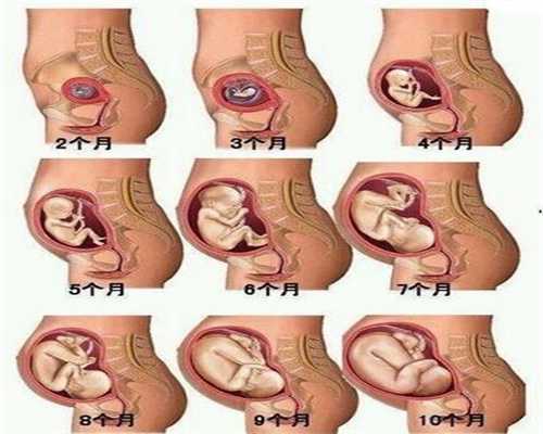 广州代孕生个孩子-供卵试管需要多长时间_自己去泰国做试管婴儿会比中介廉价