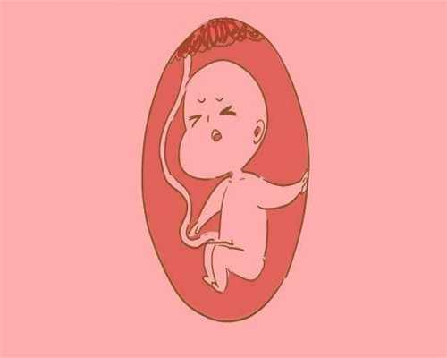 广州代孕成功率多高-代孕生子哪里有_试管婴儿助孕广为流传5大谣言，你中招了