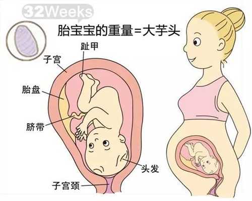 广州试管供卵中介骗局-我做代孕妈妈的经历_去美国做第三代试管婴儿的具体步