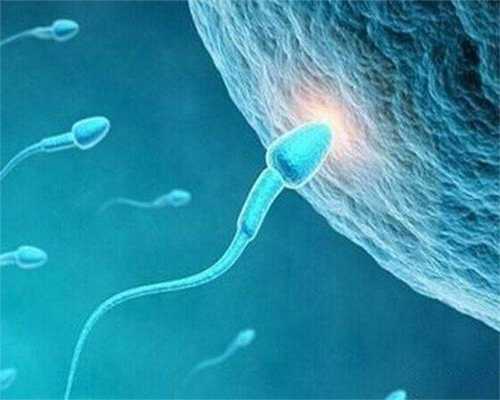 广州代孕小孩-专业供卵试管代孕_美国试管婴儿：做好胚胎染色体检测究竟有多