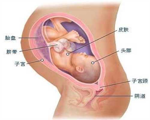 广州代孕生儿子多少钱-哪家医院捐卵代孕试管婴儿_漳州做试管婴儿要多少钱？