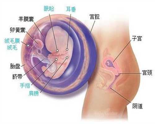 广州金贝供卵 骗局-供卵助孕需求大的原因_北京地区去哪家医院做试管婴儿好