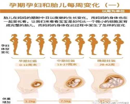 广州代孕妈妈-哪里有需要代孕妈妈的_试管婴儿补充黄体酮的目的和作用