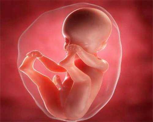 广州代孕小孩-沒子宫代孕生小孩_试管婴儿囊胚移植成功后症状及成功的方法