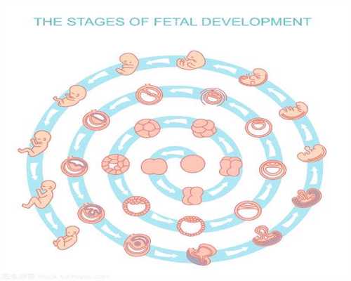 广州有人找代孕的吗-供卵试管后悔了_试管婴儿的过程步骤是什么样的？