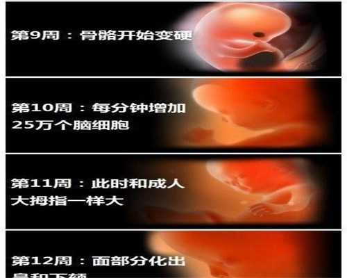 医院做代孕多少钱-广州代孕生儿子多少钱_北京做一次试管婴儿的花费是多少钱