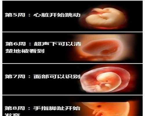 广州南方代孕网-代孕代生孩子包成功多少钱_试管婴儿成功率高的医生，这样评