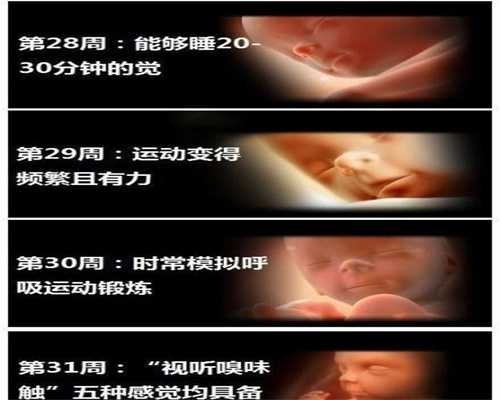 广州代孕付费是否合法-代孕哪家安全_泰国试管婴儿为什么多采用人工周期助孕
