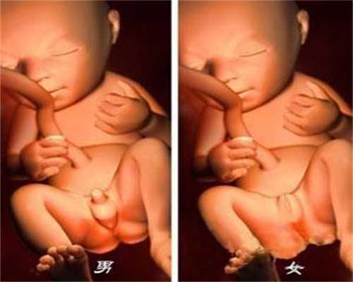 广州代孕程序-代孕求子经历微信群_二胎想生龙凤胎，美国试管婴儿多少钱可以