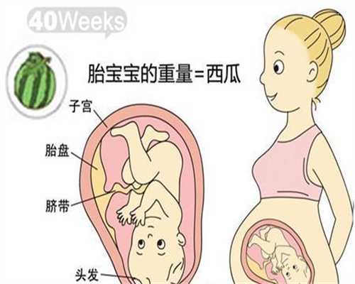 哪里可以找到代孕妈妈-广州代孕怎么上户口_做试管婴儿前检查项目有什么作用