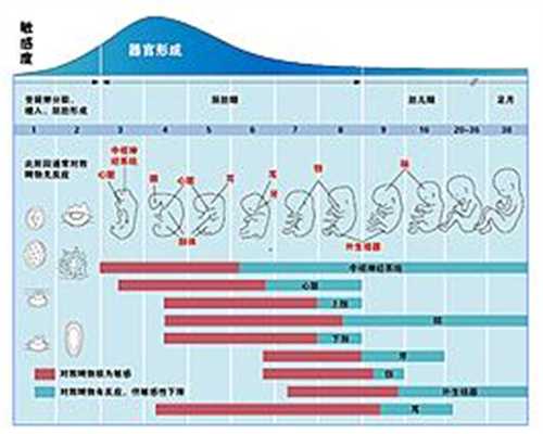 广州代孕网站哪家靠谱-代孕价格和套餐_辽宁能做试管婴儿的医院及报销政策