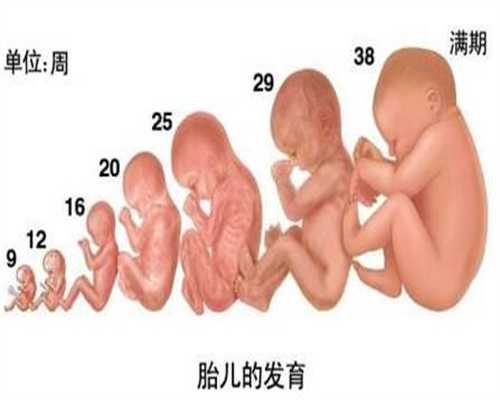 广州关于供卵的一些问题-国内代孕哪家好_浙江试管婴儿(浙江试管婴儿医院哪家