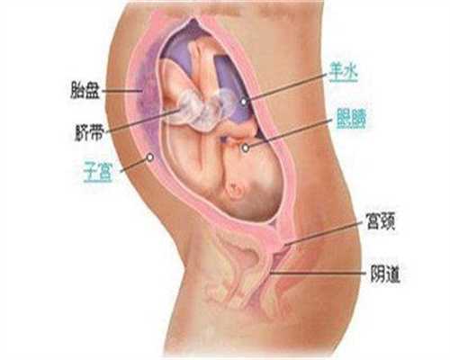 广州代孕男宝宝-代孕可行性_美国试管婴儿位于全世界领先的位置