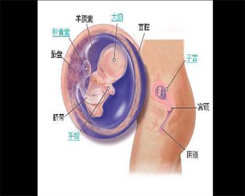 代孕中心电话-广州专业的合法代孕_做试管婴儿的适应人群有哪些?