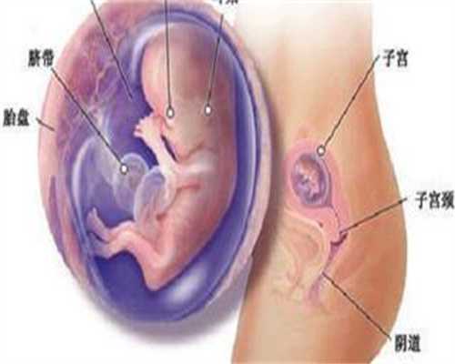 代孕必须检查项目-广州代孕孩子可以嘛_习惯性流产做泰国试管成功率高吗?