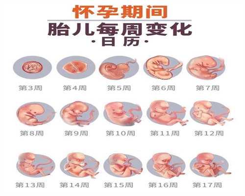 广州代孕找什么人合适-找人代孕一般要多少钱_女性子宫内膜环境直接影响试管