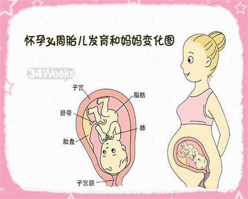 广州代孕网站哪家靠谱-国内供卵卵源_高龄不孕不育更适合做泰国试管婴儿