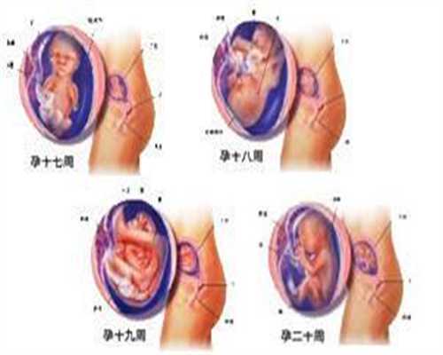 广州供卵需要几代试管-公立医院和私立供卵哪个高_第三代试管婴儿对胎儿的影