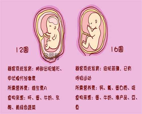 现在代孕多吗-广州南方代孕网_囊胚移植降低宫外孕几率是真的吗