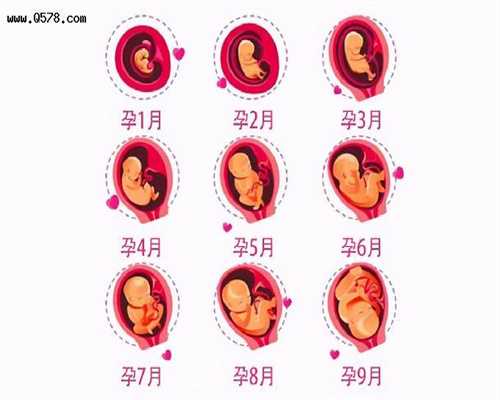 广州代孕产子技术顶尖-哪个城代孕比较多_人工授精的孩子应该知道爸爸是谁吗