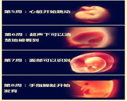 哪里有可以供卵的医院-广州三代试管包生儿子_重庆做试管婴儿多少钱