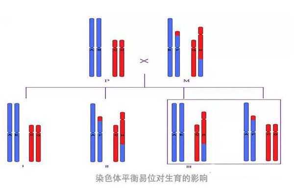 代孕价钱-广州助孕群_偶然流产不担心，造成9号染色体三体的原因看这里！