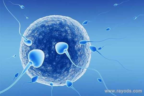 代孕机构哪些好-广州合法代孕一般多少钱_多精入卵会生多胞胎吗？多精入卵会